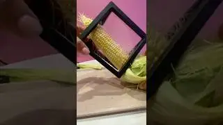 Corn in a frame