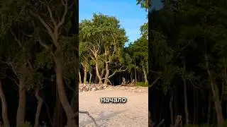 НАЧАЛО КУРШСКОЙ КОСЫ 