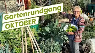 ... wie schnell sich alles verändert (Gartenrundgang)