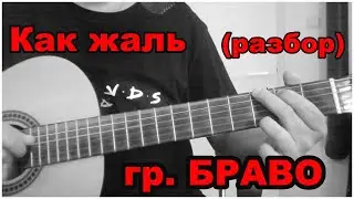 Как жаль РАЗБОР (гр. БРАВО)
