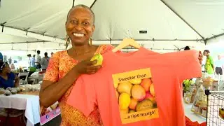 Feel Good Moment - More Mango Celebration