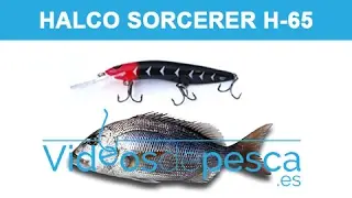 VIDEOS DE PESCA: PRUEBA SEÑUELO HALCO SORCERER H 65 2018