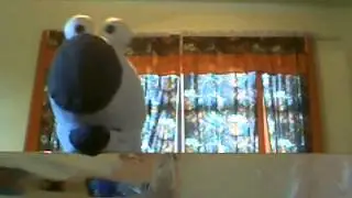 Socky the Sock Puppet presents SOCKMANIA!