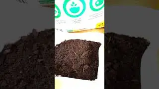 Какой грунт выбрать 