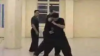 Xing Yi  (Hsing-I)  Application: Animal Forms--Teaching Footage