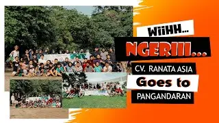 Not Healing But Experience Shopping ( CV. RANATA ASIA )