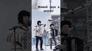 Баянисты на любую погоду #новыйгод #праздник #зима #выступление