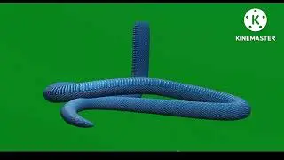 nagin 6 half snake animation on green screen