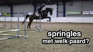 SPRINGLES? WELK PAARD IS DIT?