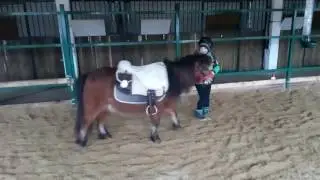 Никита и пони Умка