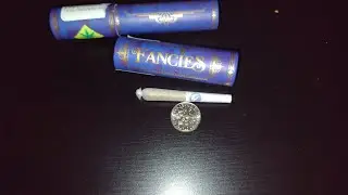 worlds smallest joint