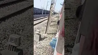 #shorts