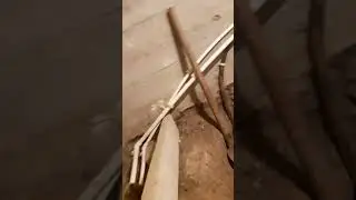 моё самое первое видео 😑 (старое название канала: Стёпа TV)