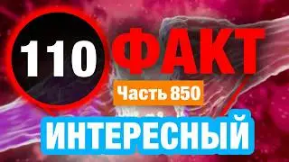 110 Сенсационный Факт В Который Вы Не Поверите
