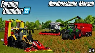ПОКОС ТРАВЫ И СБОР УРОЖАЯ КУКУРУЗЫ | Farming Simulator 22 | NF Marsch - Timelapse #3