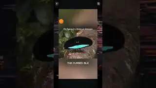 #thecursedisle