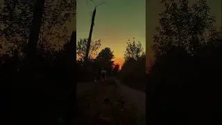 Собакен на закате #териантроп #therian #quadrobics #therianthropy #квд #квадробика #маска