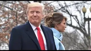 Big Bad Don