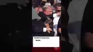 Shots Fired - Assassination Attempt at Trump (2024)