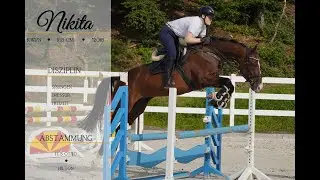 For Sale: ***Nikita*** ***Pferdehandlung Dederichs***
