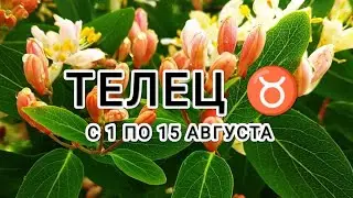 ТЕЛЕЦ ♉ тароскоп на период с 1 по 15 августа &TAURUS taroscope from August 1 to 15