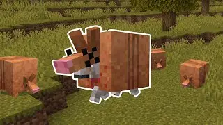 I Added Armadillos to Minecraft (cursed)