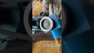 Transportadora elevador para granos tornillo sinfin flexible motor eléctrico 220V www.tecnodeliv.cl