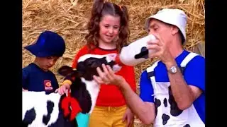 שיר השאלות