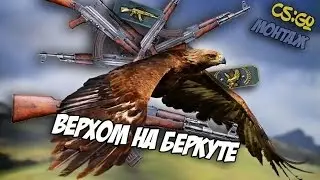 CS:GO - КАЛАШИ ВЕРХОМ НА БЕРКУТАХ [ 16+ ]