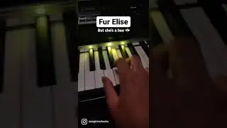 Fur Elise but she's a bee (pt. 4)