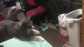 God is he still going?