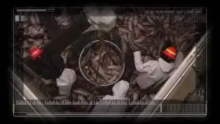 Video oficial del Año Internacional de la Diversidad Biológica 2010