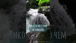 Успех не ключ к счастью