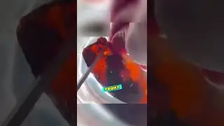 Выращивает Акулу Дома🦈👶😱