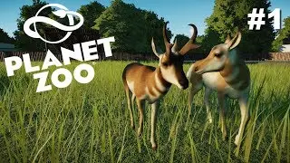 Planet Zoo |🦁#1 Comenzamos NUEVO Zoo🐼| Gameplay español