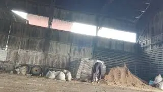 ngerasain kerja konsentrat di CBI sulung ranch