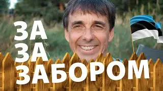 Стих 114. Эстонец за забором
