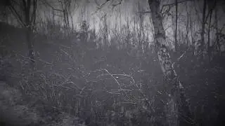 Podpoľanica - Detvan