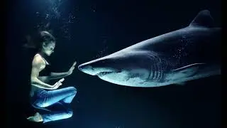 Ambient - Calm - Deep thinking - Concentration - Meditation music