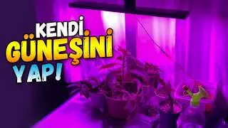 Grow Plants Without Sunlight!💥