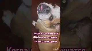 Хорошие поступки делают нас настоящим человеком!