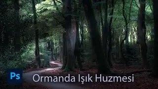 Photoshop'ta Ormanda Işık Hüzmesi Nasıl Yapılır - Fotoğrafta Işık Hüzmesi