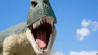 Mr Rex's Backyard Adventure in Cabazon California - In 4K Video