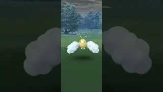 Shiny Daily Swablu! Pokémon Go!