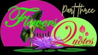FLOWERS  AND QUOTES THREE