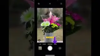 Change Aperture on iPhone?!? Yes You Can…sorta…
