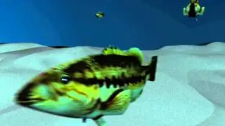 Fish animation and rigging