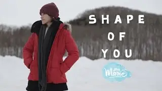 Shape of You - Ed Sheeran【Cover by zommarie】