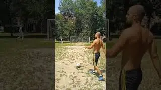 Palo incredibile