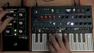 Micro Freak thru Freqbox (Freq X Freak)